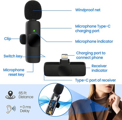 Green Lion 2 in 1 Wireless Microphone