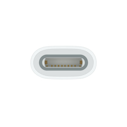 Apple Usb-C to Apple Pencil Adapter